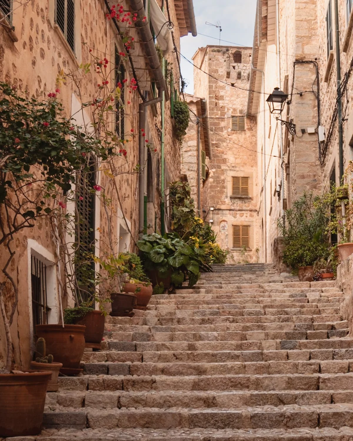 Fornalutx village steps with plants