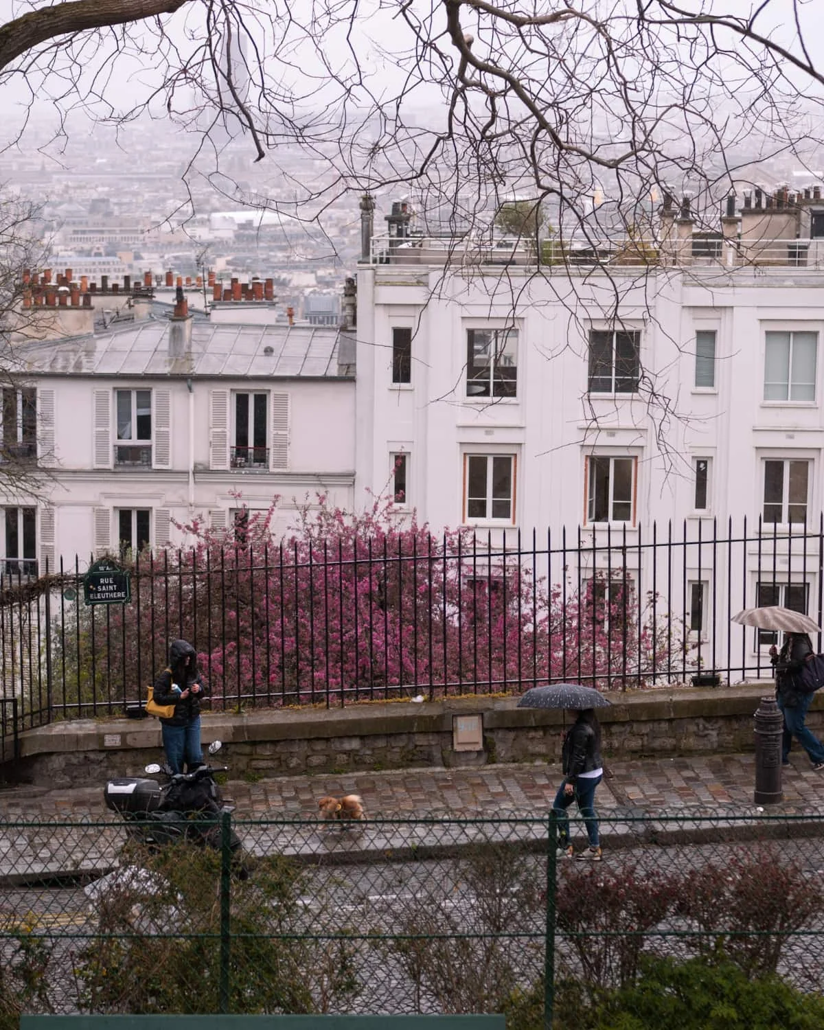 Montmartre streets in spring with people walking