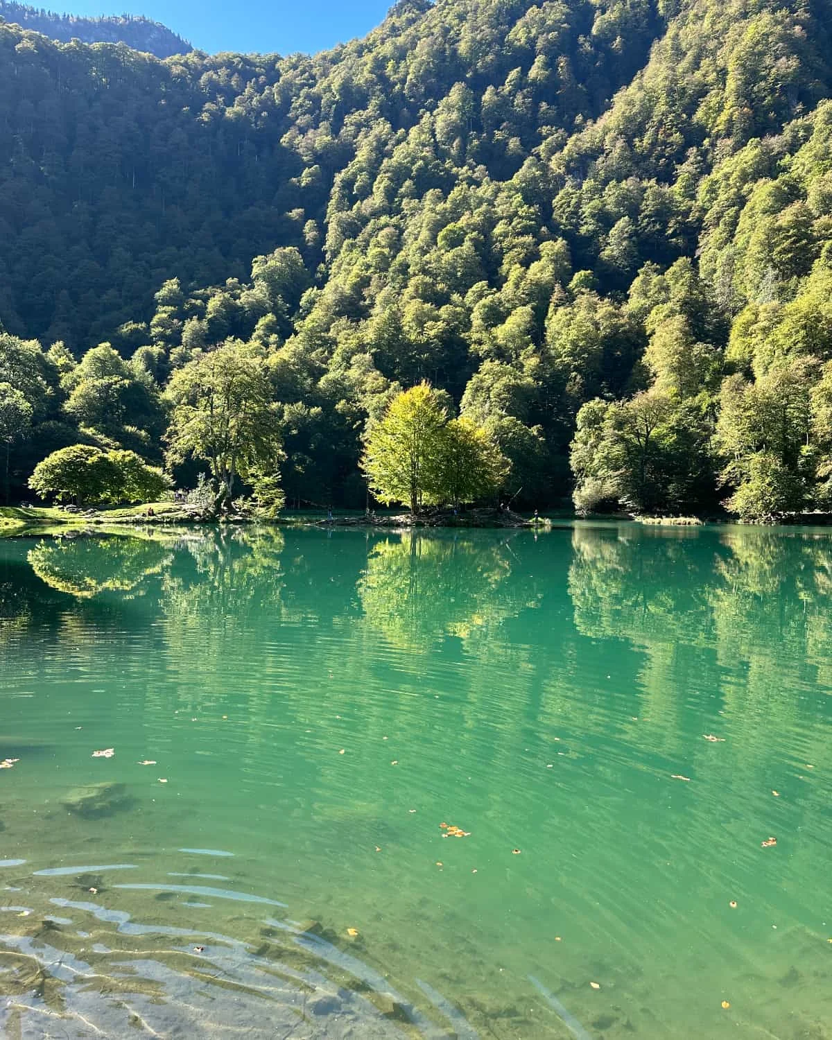 The emerald green water of Lac de Bethmale