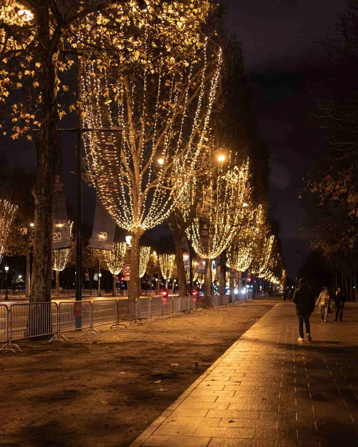 A Paris avenue lined with trees decorated with Christmas lights