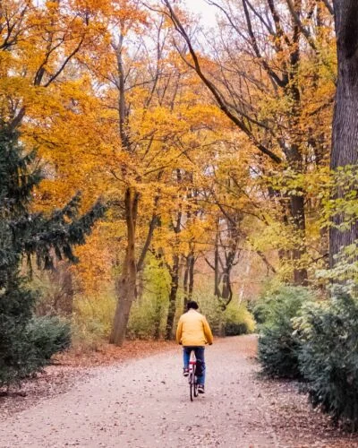 Dreamy autumn walks in Berlin