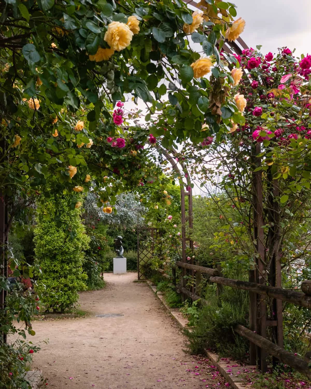 Blooming yellow and red roses with a statue at the background