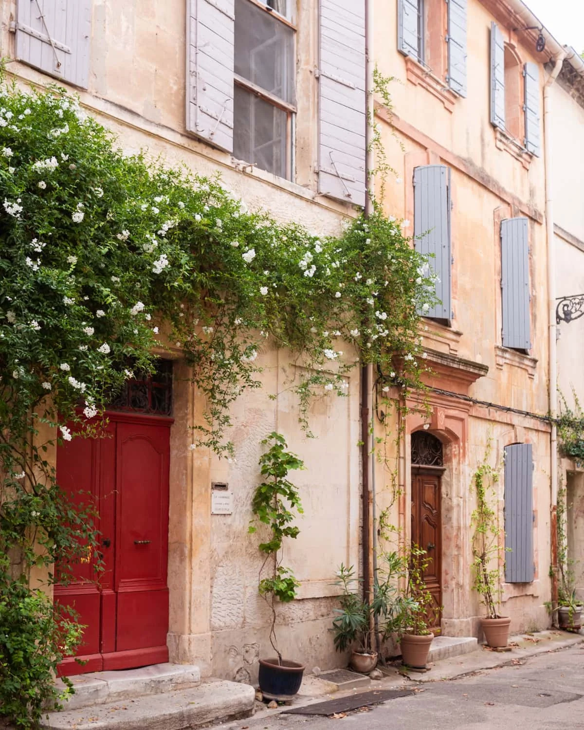 A facade with red vine-covered door in Arles, Provence, France