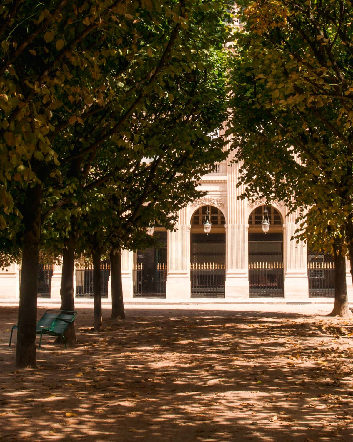 The Jardin du Palais Royal trees