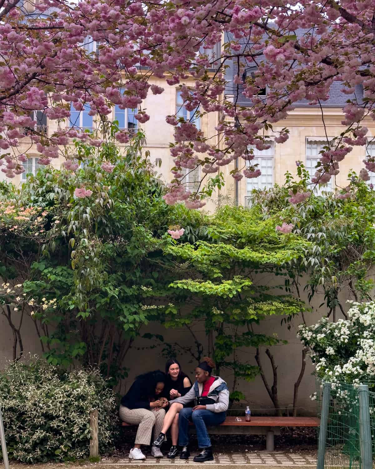 Blooming cherry blossom trees at Jardin Anne Frank, with a couple of Parisians enjoying themselves